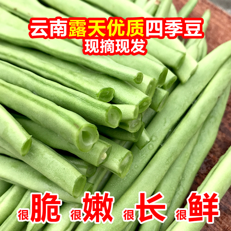 云南四季豆长豆角农家当季蔬菜