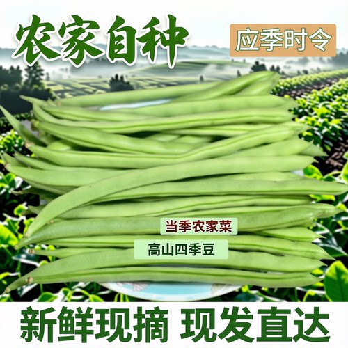 新鲜四季豆农家蔬菜当季时令蔬菜