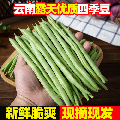 新鲜四季豆农家菜现摘应季蔬菜