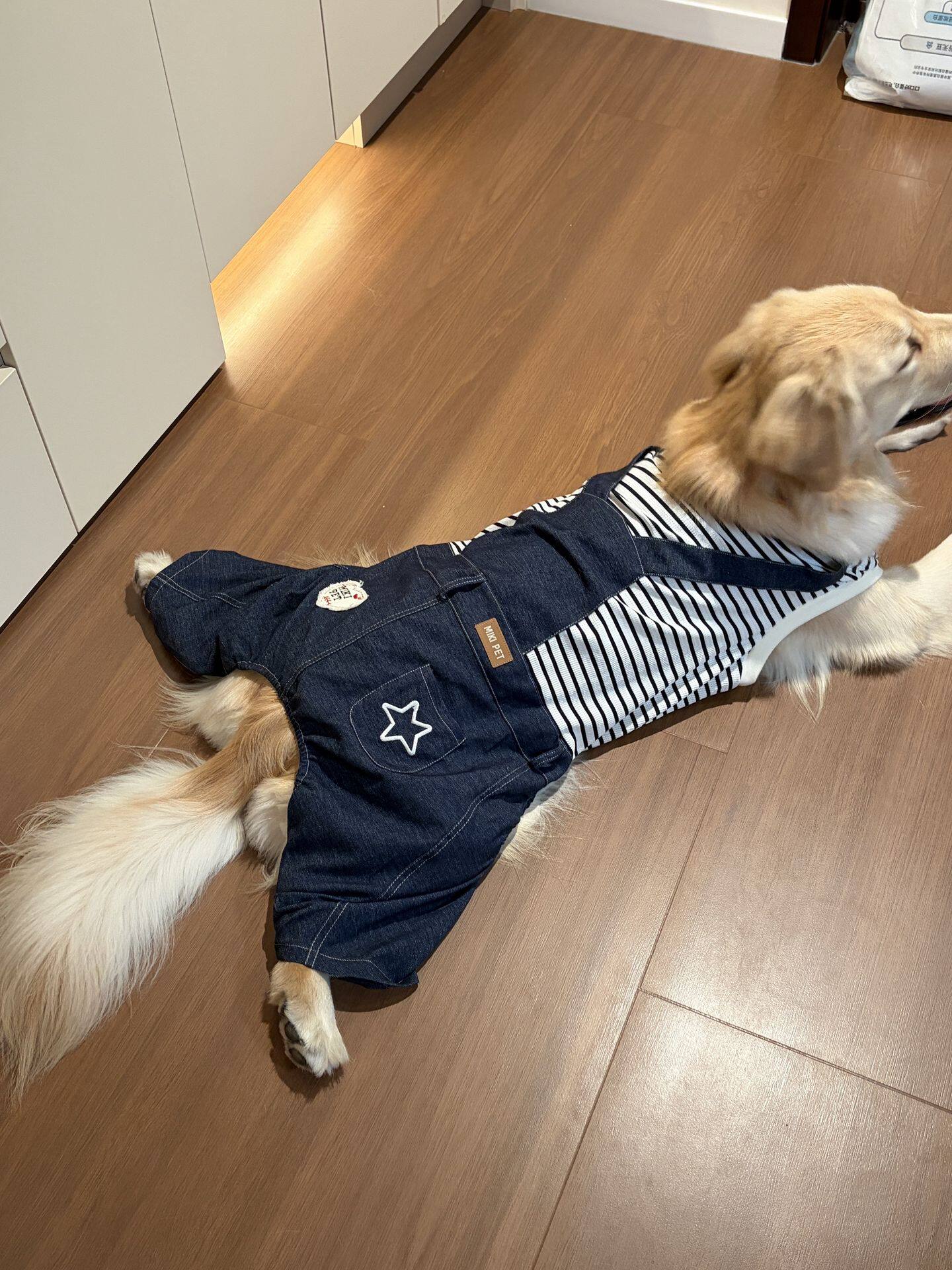 宠物狗狗衣服秋冬新品中大型犬带牵引扣四脚条纹牛仔背带裤