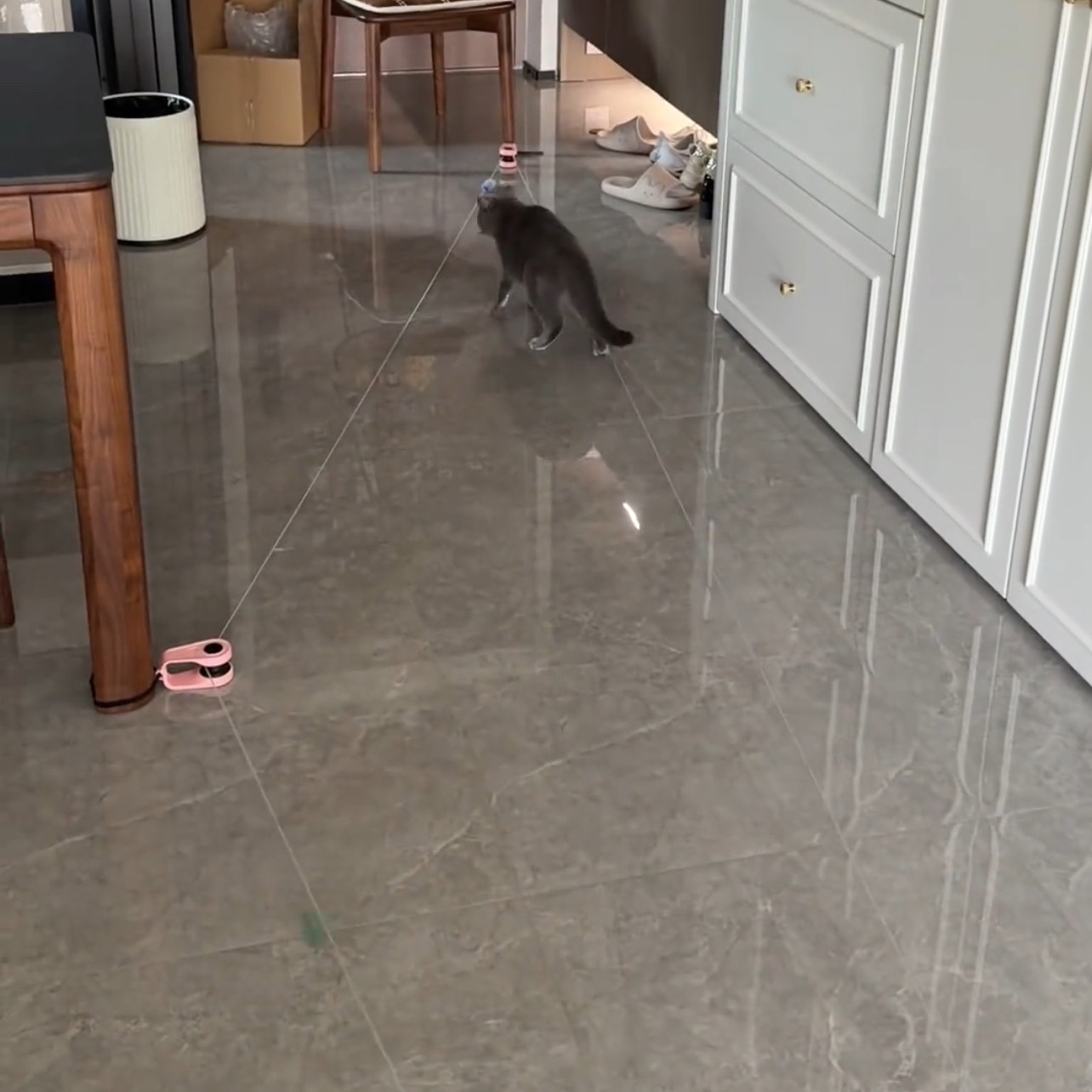 家用简约2026新款猫咪室内运动跑步机自动遥控逗猫器趣味逗猫棒