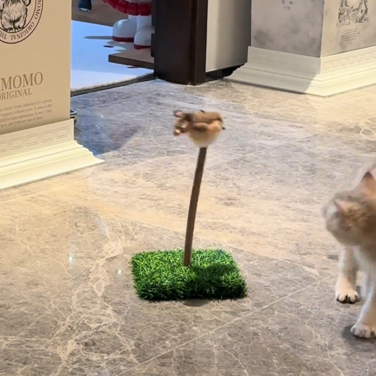 猫玩具仿真草坪鸟叫摇摇乐猫咪可爱弹性2026玩具快乐小鸟发声鸟