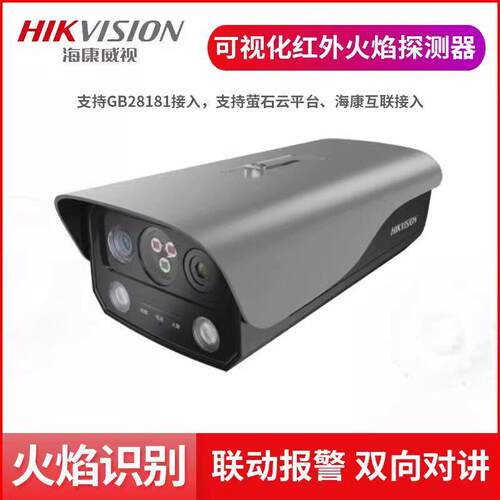 火灾消防烟火报警监控摄像机可视化红外火焰探测NP-V2H-P