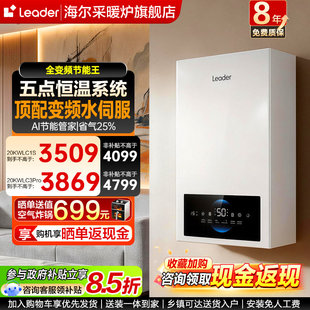 海尔燃气壁挂炉天然气家用采暖炉热水两用锅炉旗舰店统帅LC1S