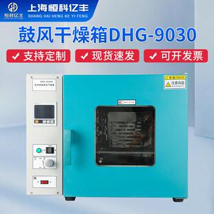 台式电热鼓风干燥箱厂家供应实验室恒温箱恒温工业烤箱