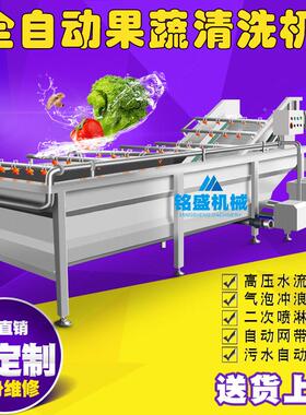 厂家生圆产茄子洗菜机 全自动洗胡萝卜洗机WQW 多功能菜脚板薯清