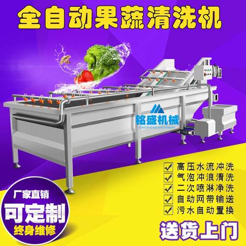 厂家生圆产茄子洗菜机 全自动洗胡萝卜洗机WQW 多功能菜脚板薯清