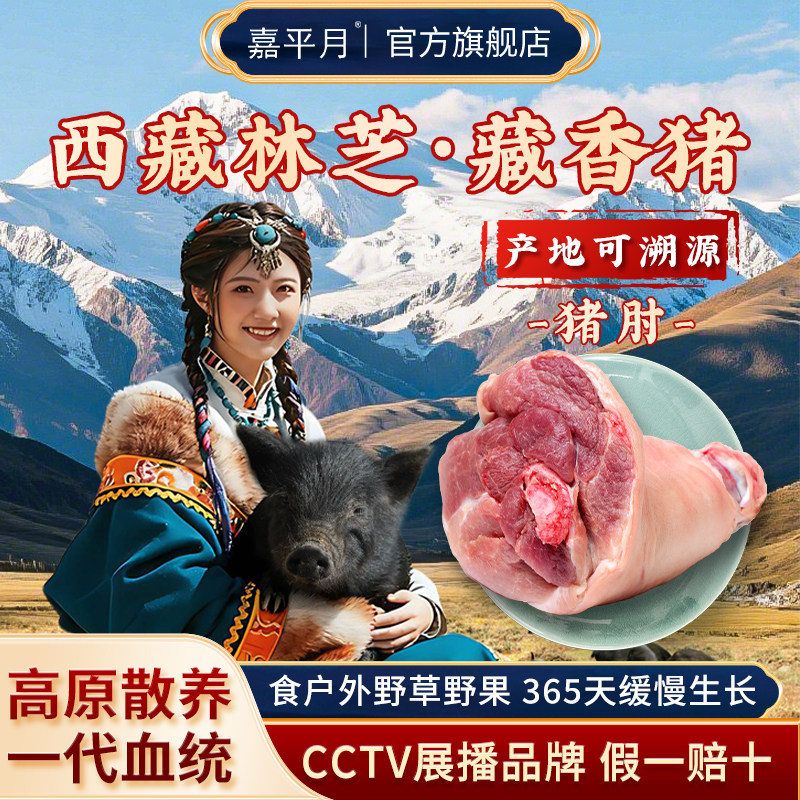 藏香猪新鲜猪肘子生鲜猪蹄髈猪脚圈猪肘子正宗西藏林芝冷冻土猪肉