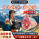 藏香猪新鲜猪肘子生鲜猪蹄猪脚肘子正宗西藏林芝海拔3200米土猪肉