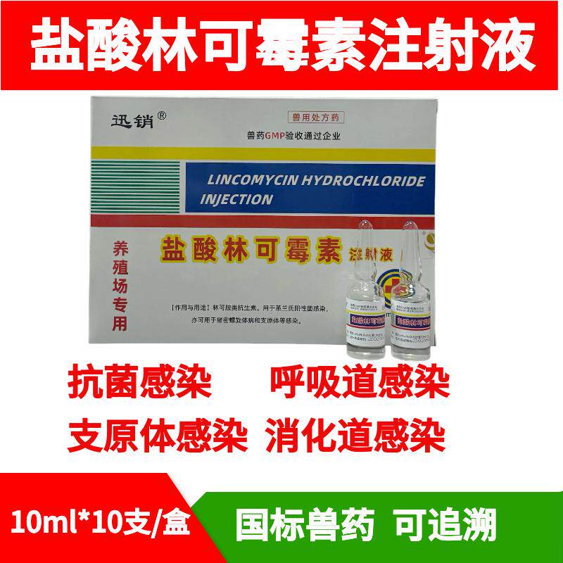 迅销兽药盐酸林可霉素注射液混感先锋兽用退烧高烧消炎产后链球菌