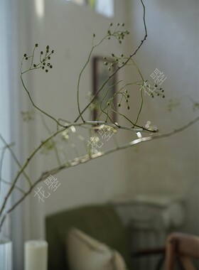 花曌 绿色山归来鲜切枝条水养鲜花G真花蔷薇果鲜切花家居瓶插花