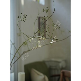 花曌 绿色山归来鲜切枝条水养鲜花G真花蔷薇果鲜切花家居瓶插花