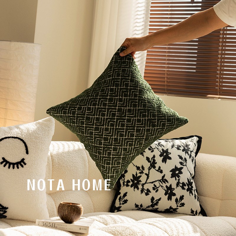 法式轻奢风抱枕套毛n绒靠枕白色刺绣抱枕车用方形靠垫超软黑白腰