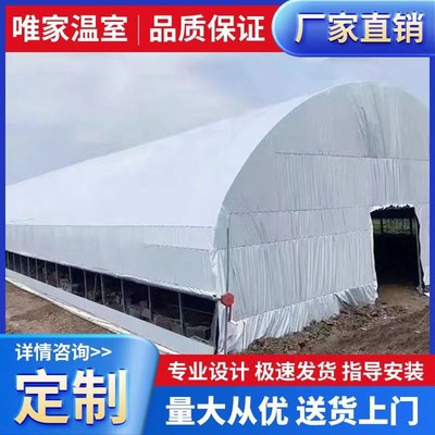 养殖温室c大棚全套支架骨架养猪牛羊棚鸡鸭鹅舍种植蔬菜钢管大棚
