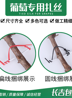 葡萄扎丝新款白色绿m圆扁一万根捆绑枝条猕猴桃扎线火龙果扎带园