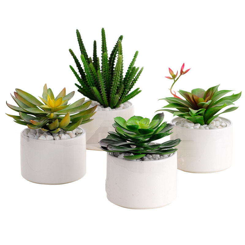 仿真多肉植物组合盆景室内z仙人掌绿植陶瓷玻璃花瓶装饰品