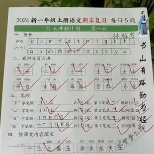 2024年秋一年级上册语文期末复习每日一练21天冲刺数学计划小纸条