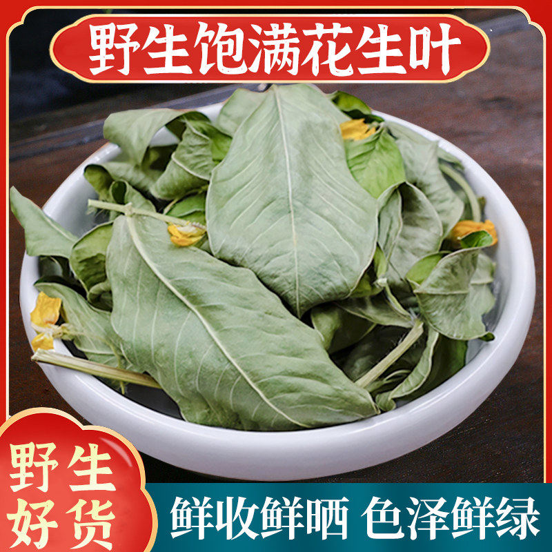 花生叶中药材正品500g新鲜干货落花生枝叶干农家花生苗子茶花生秧