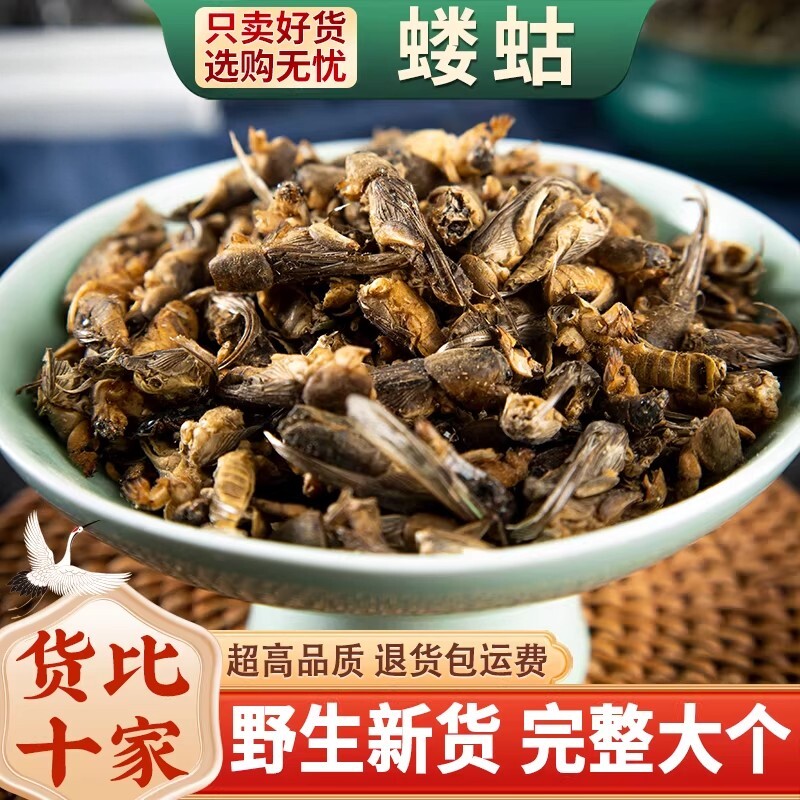 蝼蛄干500g蝼蛄中药材野生拉拉蛄地拉蛄天蝼土狗蝼蛄蝼蛄粉包邮