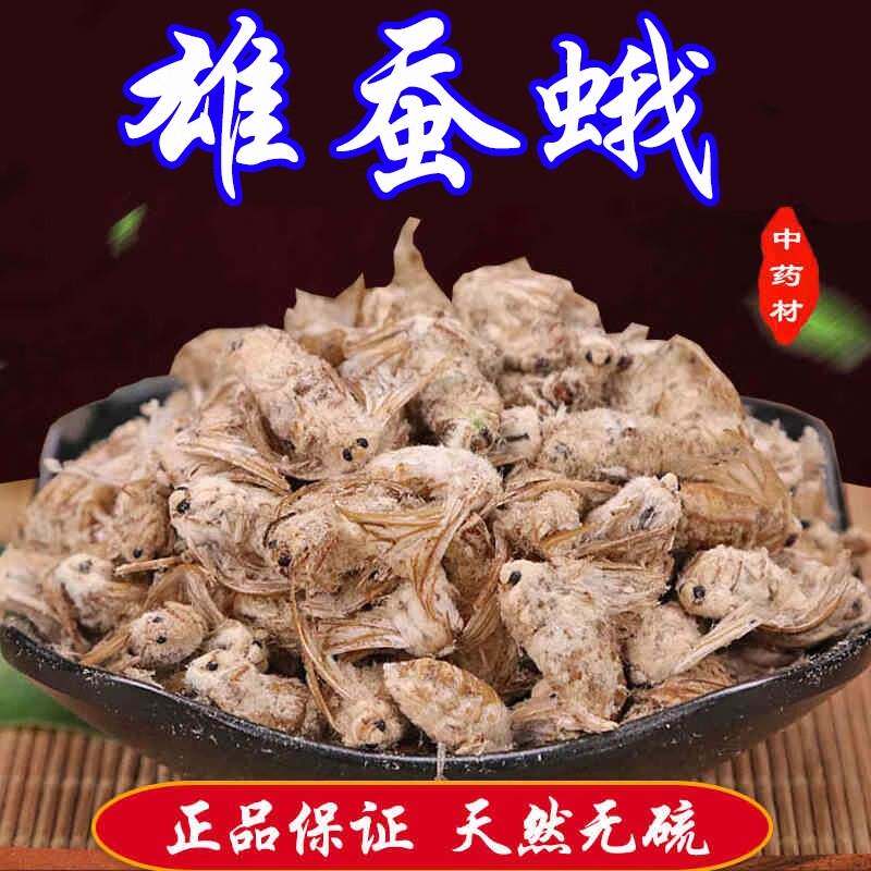 雄蚕蛾中药材500g正品原蚕蛾 公蚕蛾 公蝉俄未交配雄天蛾男性泡酒