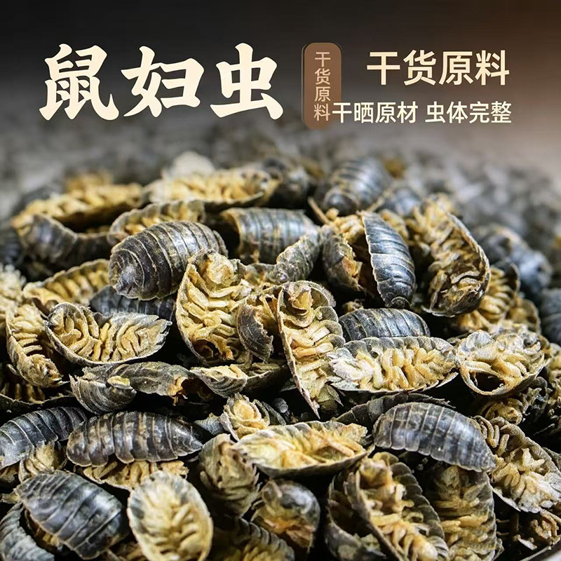 鼠妇虫中药材500g野生鼠妇虫干货潮湿虫潮虫子正品地虱婆磨粉新货