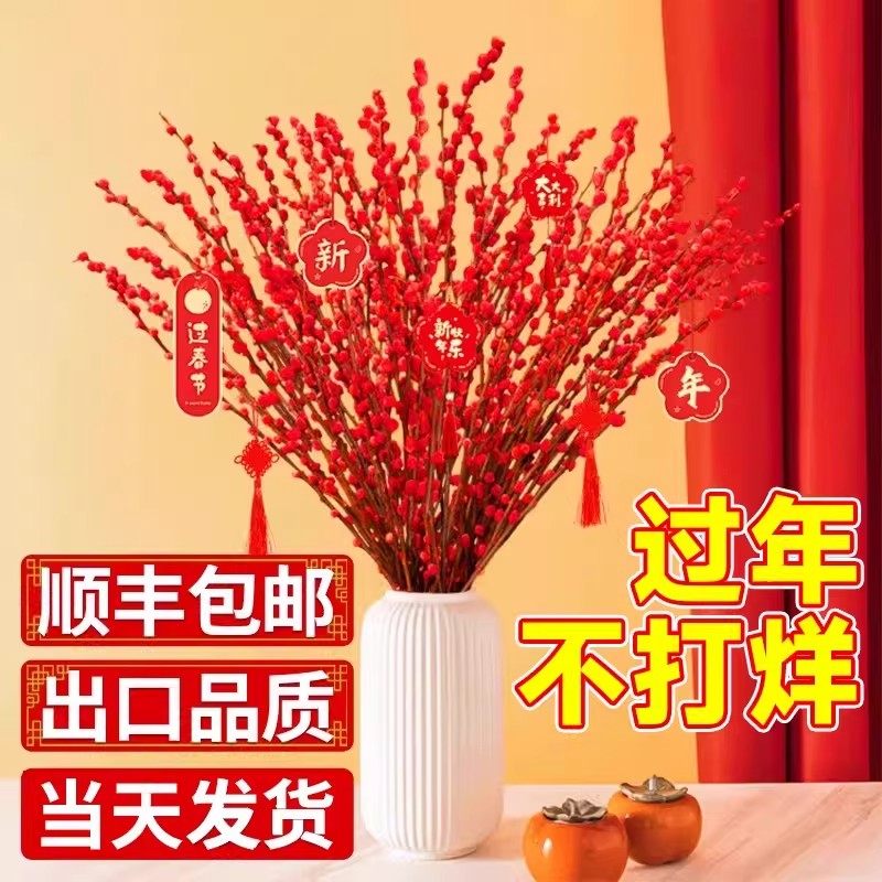 银柳真花鲜枝干花摆件室内水培绿植物新年红福桶招财年宵花卉盆栽,鲜花速递/花卉仿真/绿植园艺,红掌/凤梨/温室花卉,淘宝优惠券,粉丝福利购,淘宝优惠卷