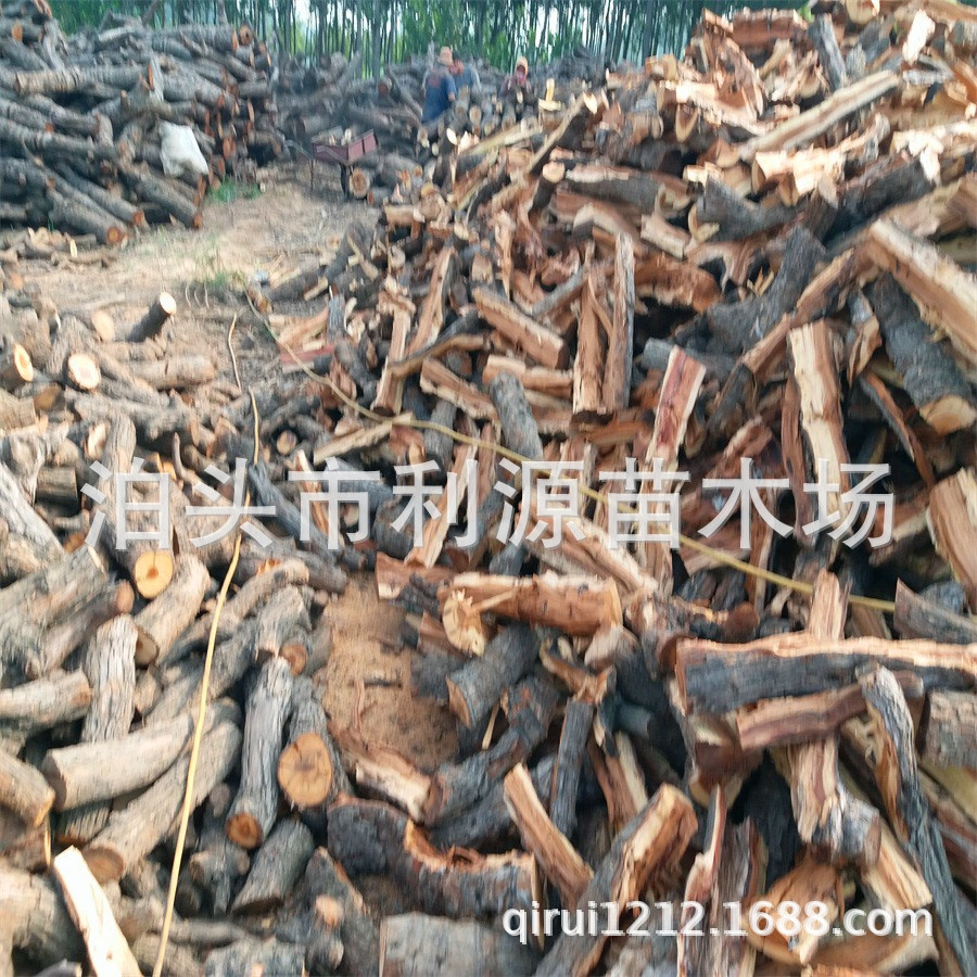 烤鸭枣木柴 果木柴 烧火柴火 纯枣木 木质硬 升温快 装袋 散装