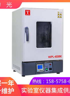 天津泰斯特WPL-30BE电热恒温培养箱