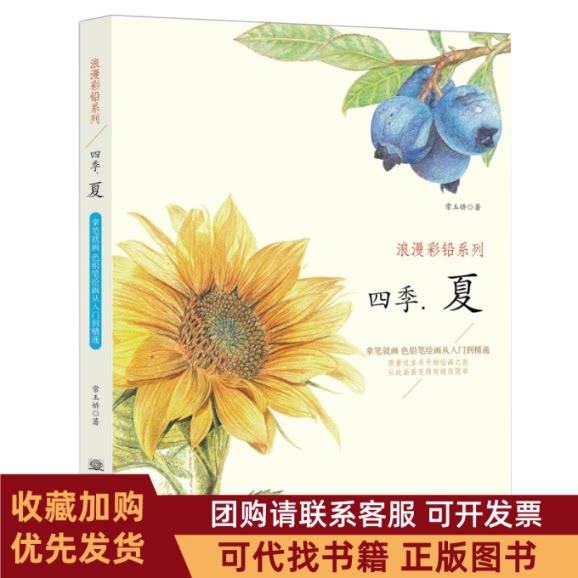 正版图书 四季夏浪漫彩铅系列彩色铅笔绘画从入门到精通自学彩铅画入门教程书常玉娇中国商务出版社