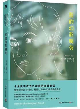 正版图书 我的幻影朋友修迪湖南文艺出版社