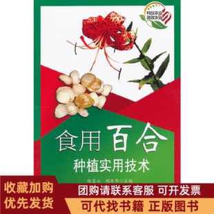 正版图书 食用百合种植实用技术杨宝山胡庆华科技文献
