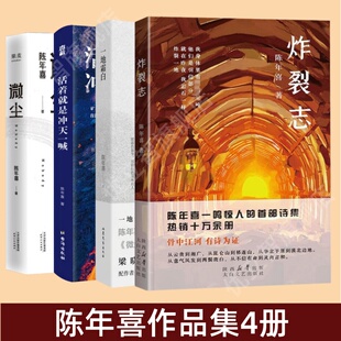 【陈年喜作品集4册】一地霜白+活着就是冲天一喊+微尘+炸裂志 陈年喜 当代工作诗歌诗集中国文学小说