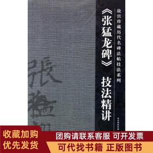 正版图书 张猛龙碑技法精讲故宫珍藏历代名碑法帖技法系列陈津迪|主编姚建杭紫禁城