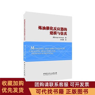 正版图书 炼油催化反应器的建模与若热安奇塔著方向晨译著中国石化出版社