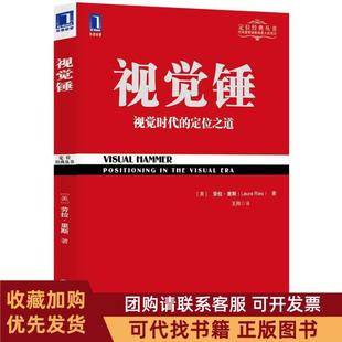 正版图书 视觉锤劳拉里斯王刚机械工业出版社
