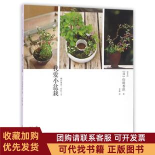 正版图书 我爱小盆栽山田香织|者李静中原农民