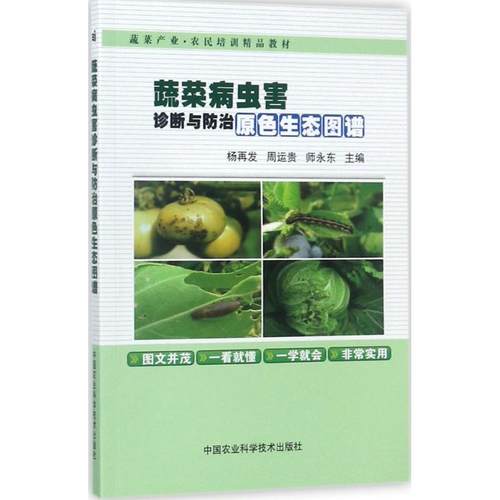 正版图书 蔬菜病虫害诊断与防治原色生态图谱杨再发中国农业科学技术出版社