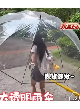 超大号PVC透明雨伞大号高尔夫