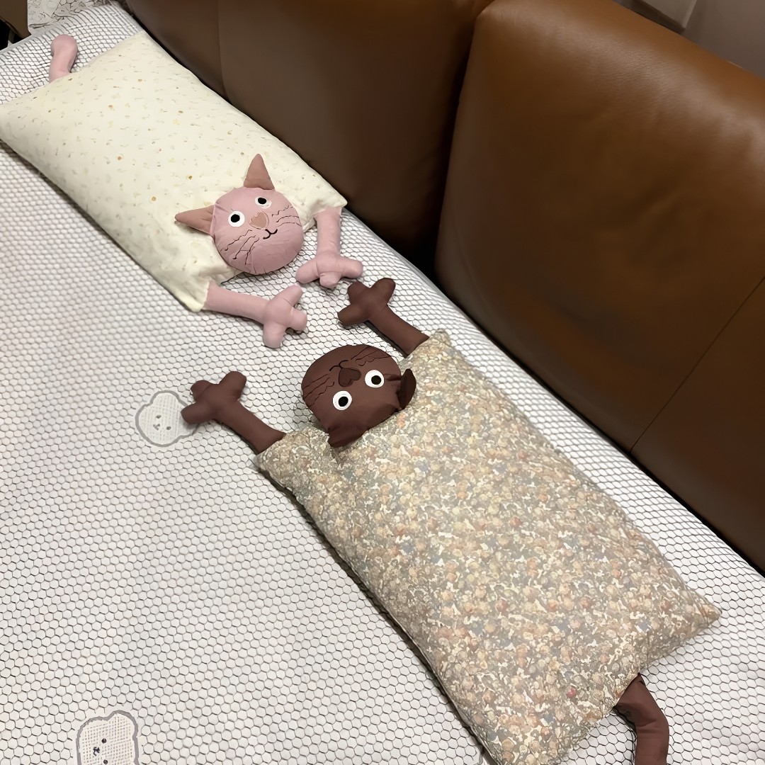 猫咪荞麦枕头女生睡觉专用可拆卸双层纱护颈椎助眠低枕家用床头枕