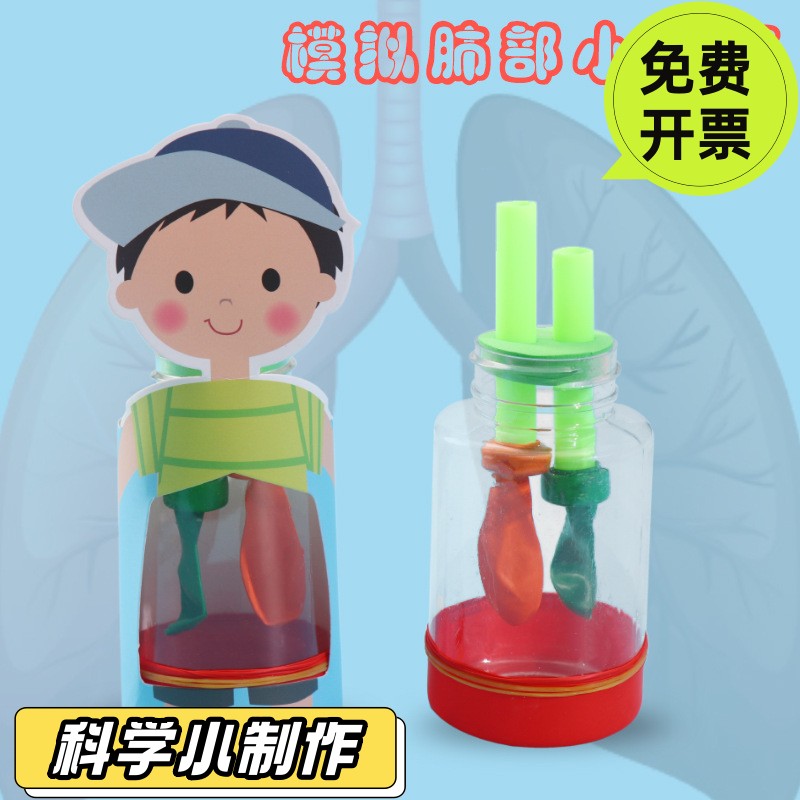 肺呼吸模型实验材料包膈肌运动肺与外界气体交换系统模拟器肺部通