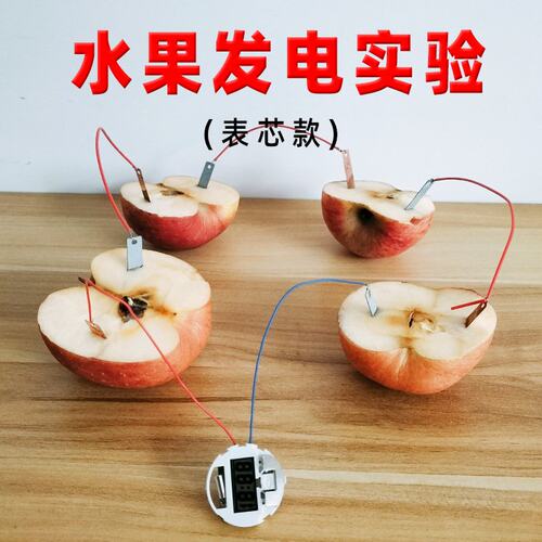 DIY自制水果电池科技小制作小发明儿童科学实验手工作业儿童SS98