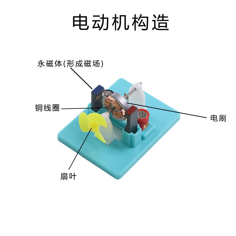 小型电动机模型开放式直流电动机模型diy小马达小学科学初中js29