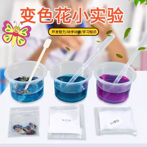 紫甘蓝变色花青素diy手工科技小制作学生幼儿童酸碱认知实验SS08