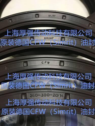 德国Simrit/FREUDENBERG科德宝油封CFW1 BAUM7SLX7 260-300-20/14