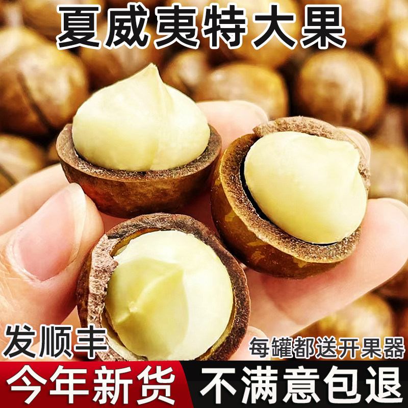 新货云南夏威夷果奶香味特大果坚果仁炒货干果零食礼盒旗舰店,零食/坚果/特产,夏威夷果,淘宝优惠券,粉丝福利购,淘宝优惠卷