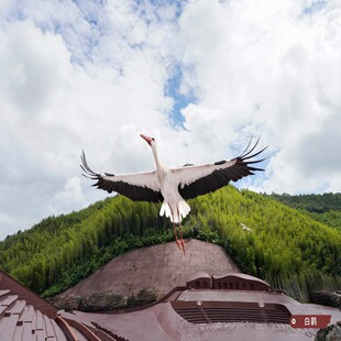 飞鸟之约 飞鸟之约门票 陶然房2晚 小火车 冰雪乐园 双人门票