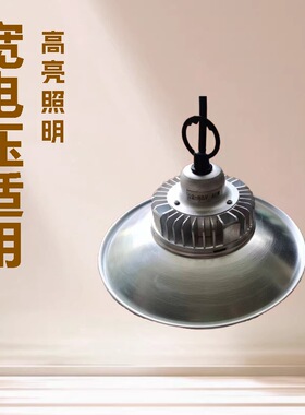 厂家直供  12-85V  110-285V低压工矿灯 机床灯 厂棚灯