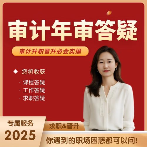 审计实操专属答疑定制