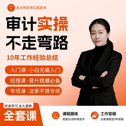 注册会计师审计助理cpa财务审计