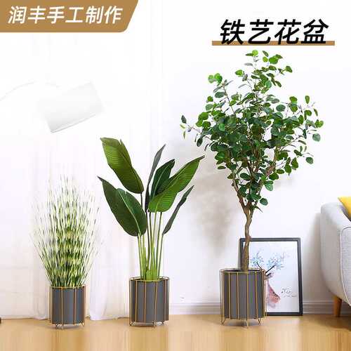现代简约落地式铁艺花架三件套铁桶室内客厅阳台绿植花盆架多层